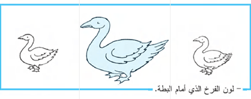 النشاط 1